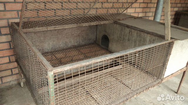 Вольеры для нутрий своими руками фото Вольеры для нутрий своими руками фото