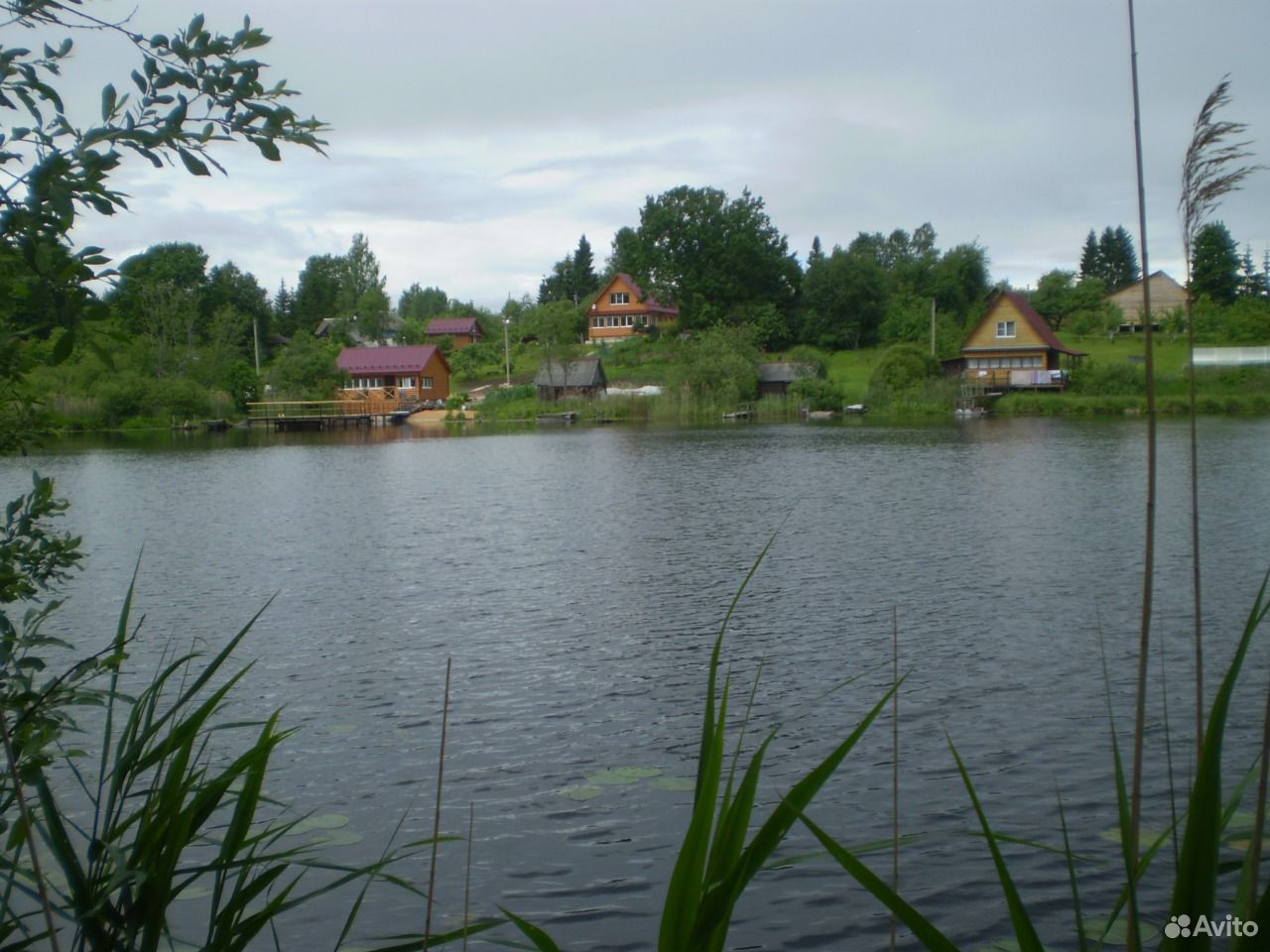 Озеро заклинское лужский район