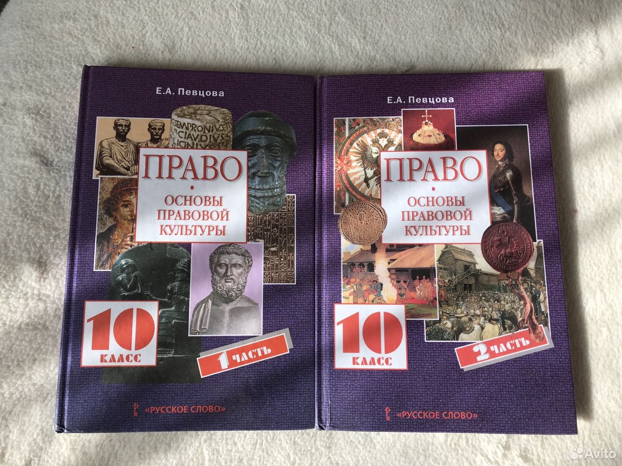 Право 10 11 класс. Право 10 класс певцова. Е А певцова право 10 класс. Право певцова 10 класс 1 часть. Учебник право 10-11 класс певцова.