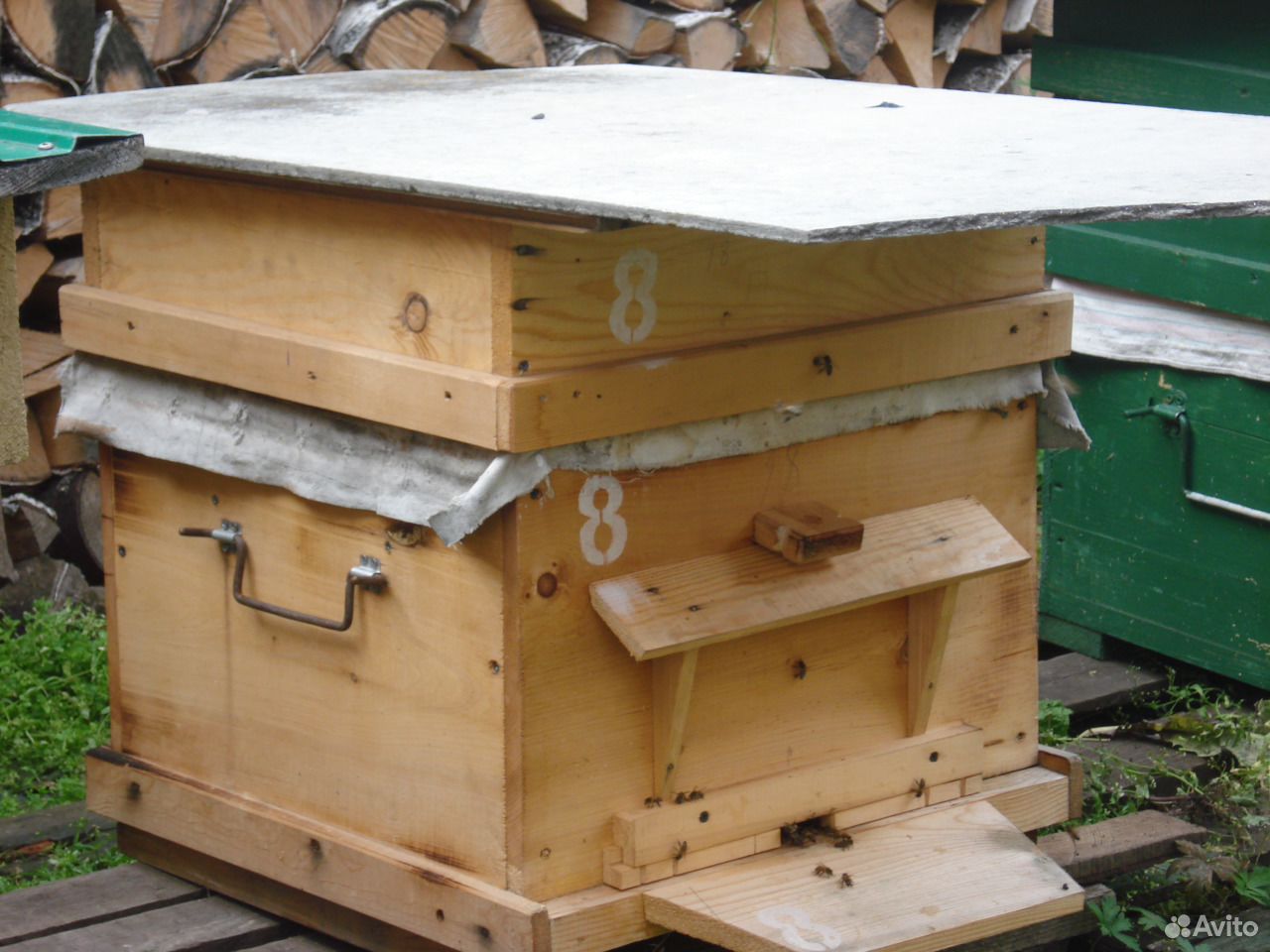 Продам пчелосемьи в ульях купить на Зозу.ру - фотография № 1