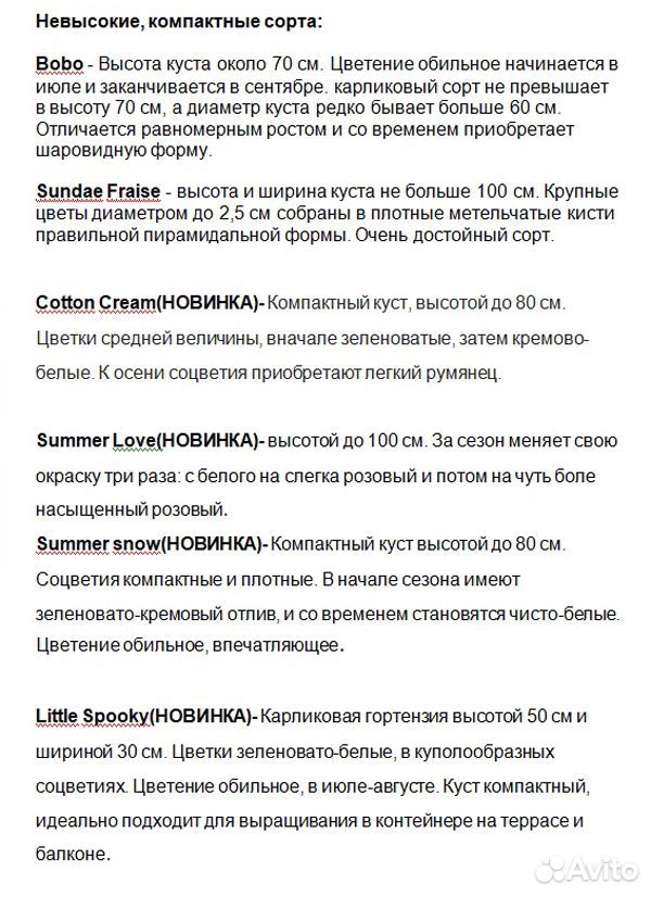 Гортензии метельчатые(20 сортов) многолетники купить на Зозу.ру - фотография № 10