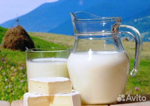 Козье молоко и вся молочная продукция купить на Зозу.ру - фотография № 1