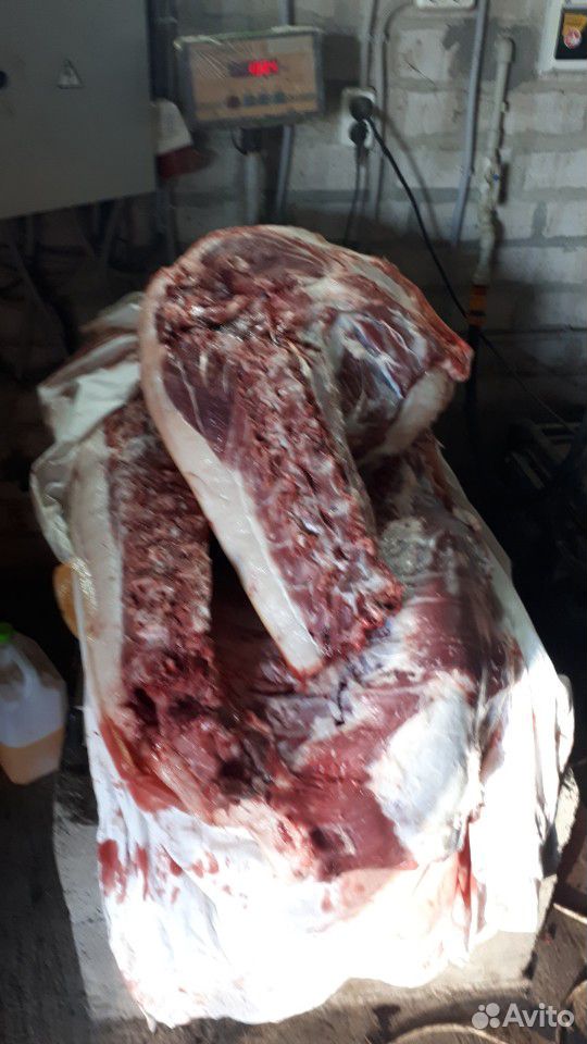 Продам домашнее мясо свинины купить на Зозу.ру - фотография № 8