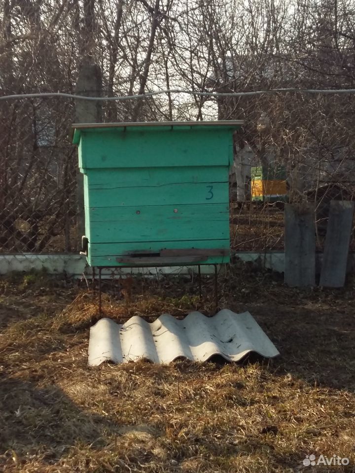 Улей с пчелами купить на Зозу.ру - фотография № 2