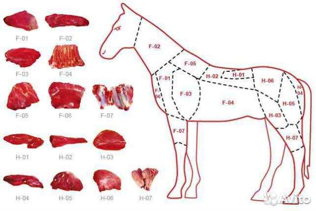 Лошадь на мясо купить на Зозу.ру - фотография № 1