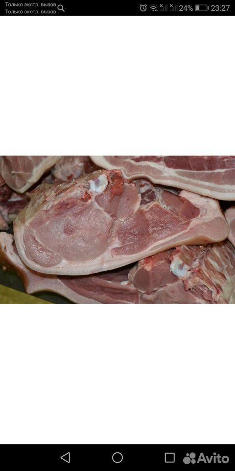 Продам свиное мясо купить на Зозу.ру - фотография № 1