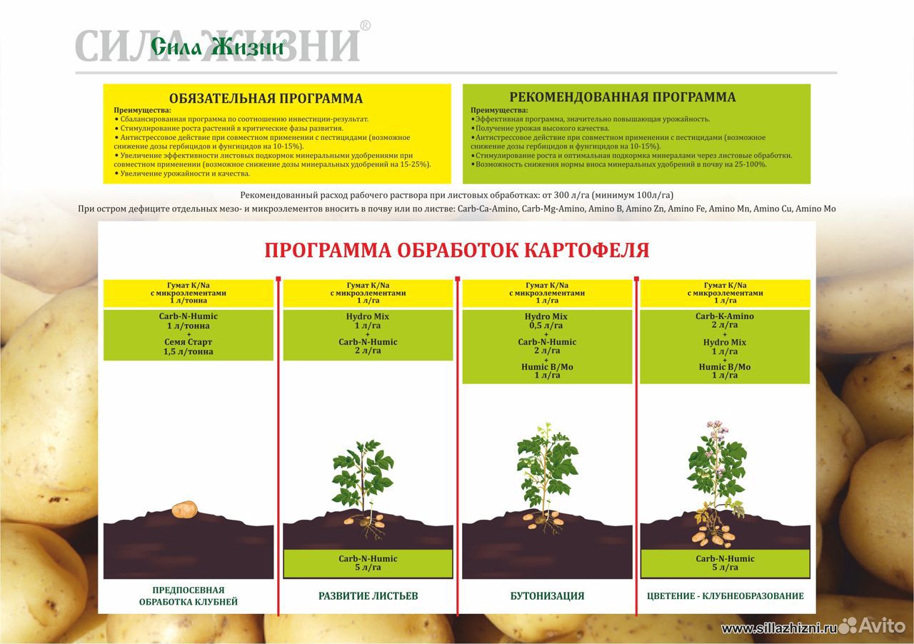 Удобрения для картофеля купить на Зозу.ру - фотография № 6