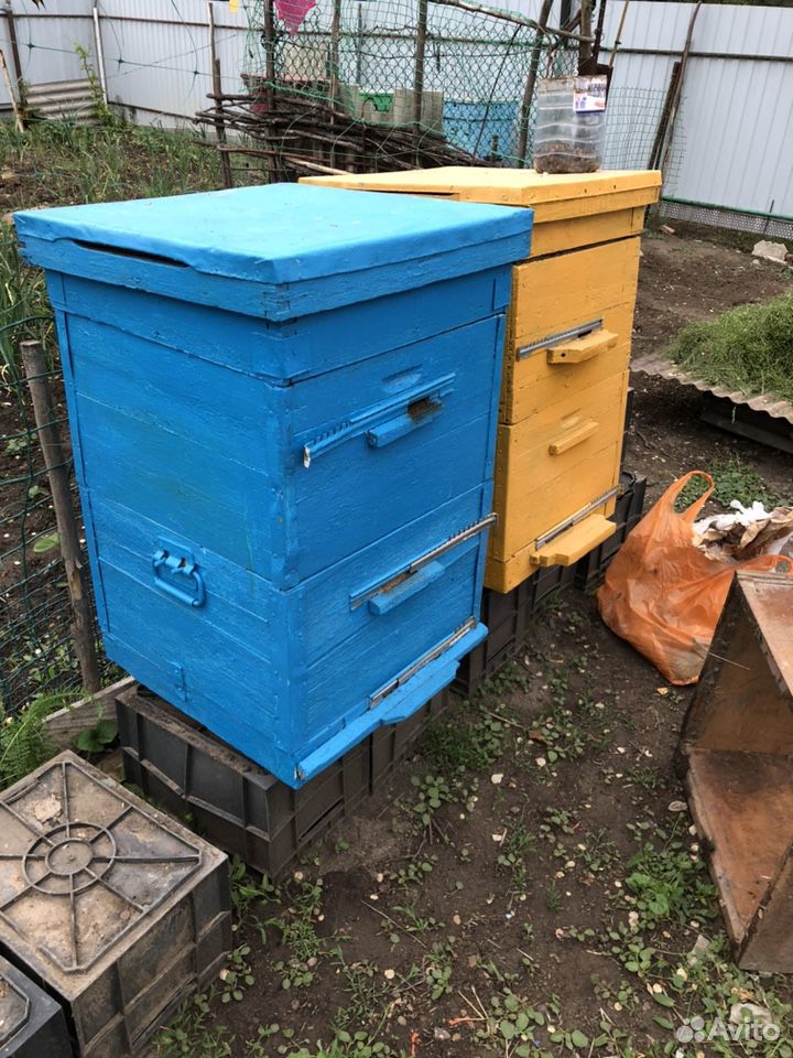 Улики пчелиные ульи купить на Зозу.ру - фотография № 1