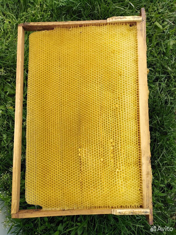 Рамки для мёда суш белая купить на Зозу.ру - фотография № 1