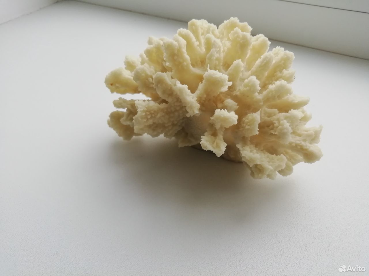 Искусственный коралл купить на Зозу.ру - фотография № 3