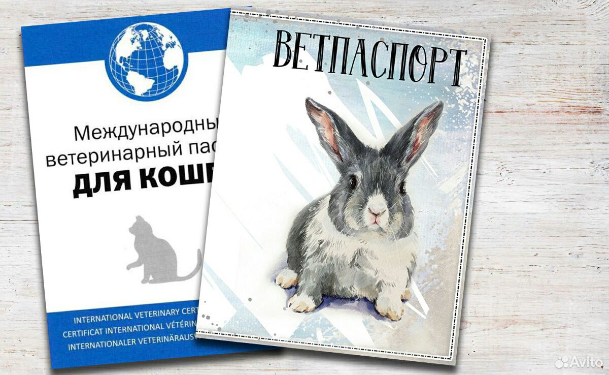 Ветеринарный паспорт купить на Зозу.ру - фотография № 3