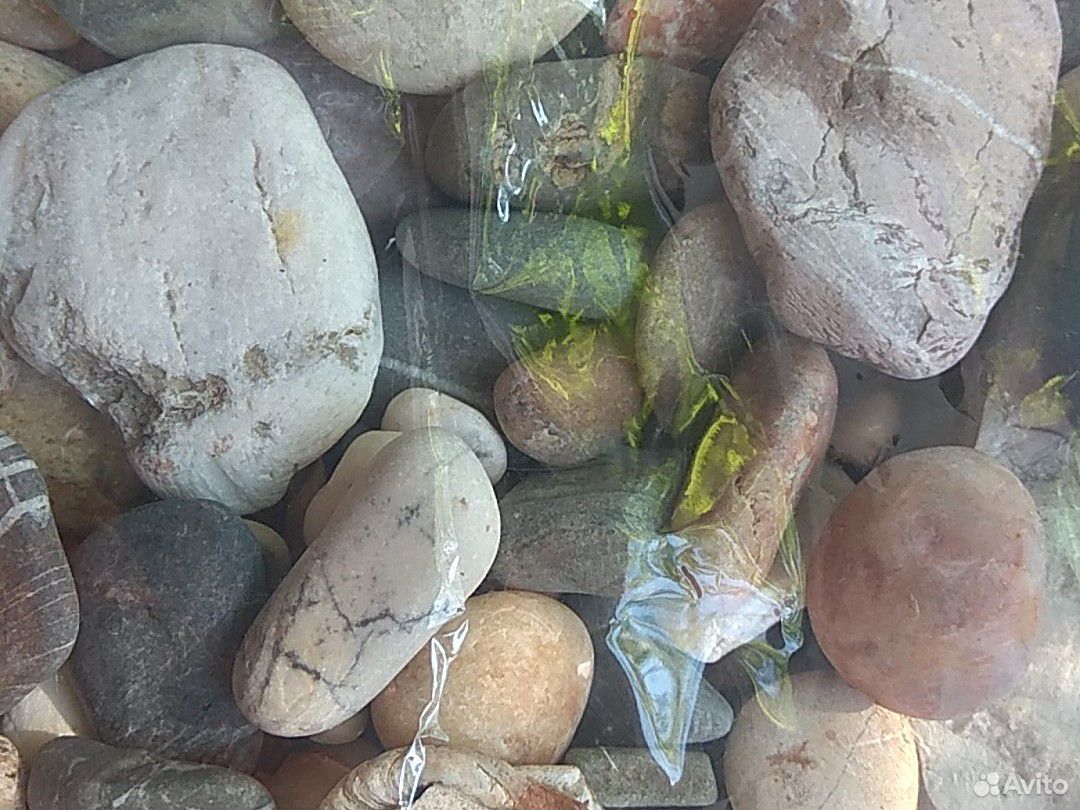 Камни, ракушки для аквариума купить на Зозу.ру - фотография № 4