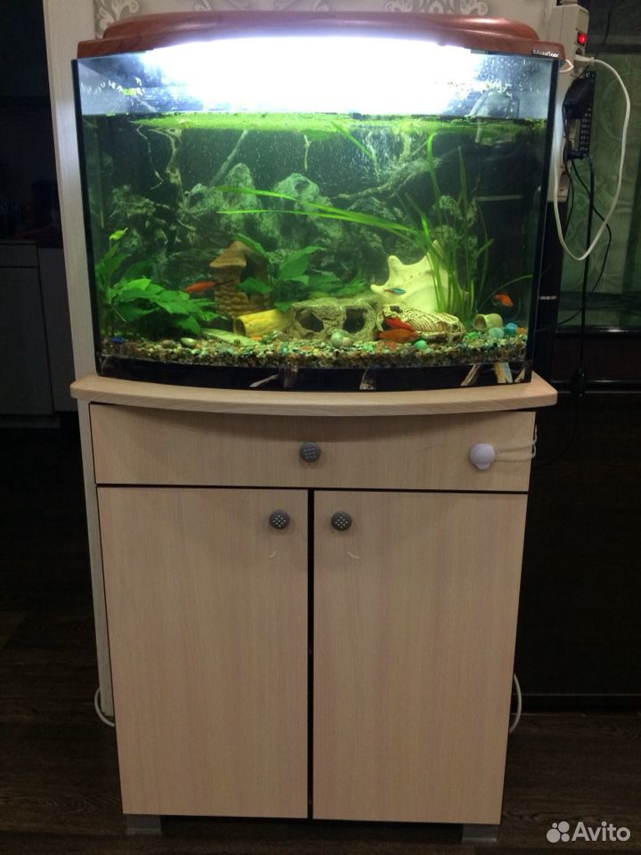 Продам аквариум 55 литров с тумбой купить на Зозу.ру - фотография № 1