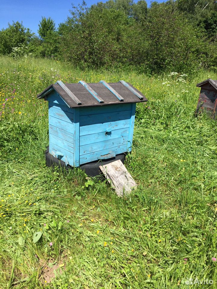 Улья для пчёл купить на Зозу.ру - фотография № 3