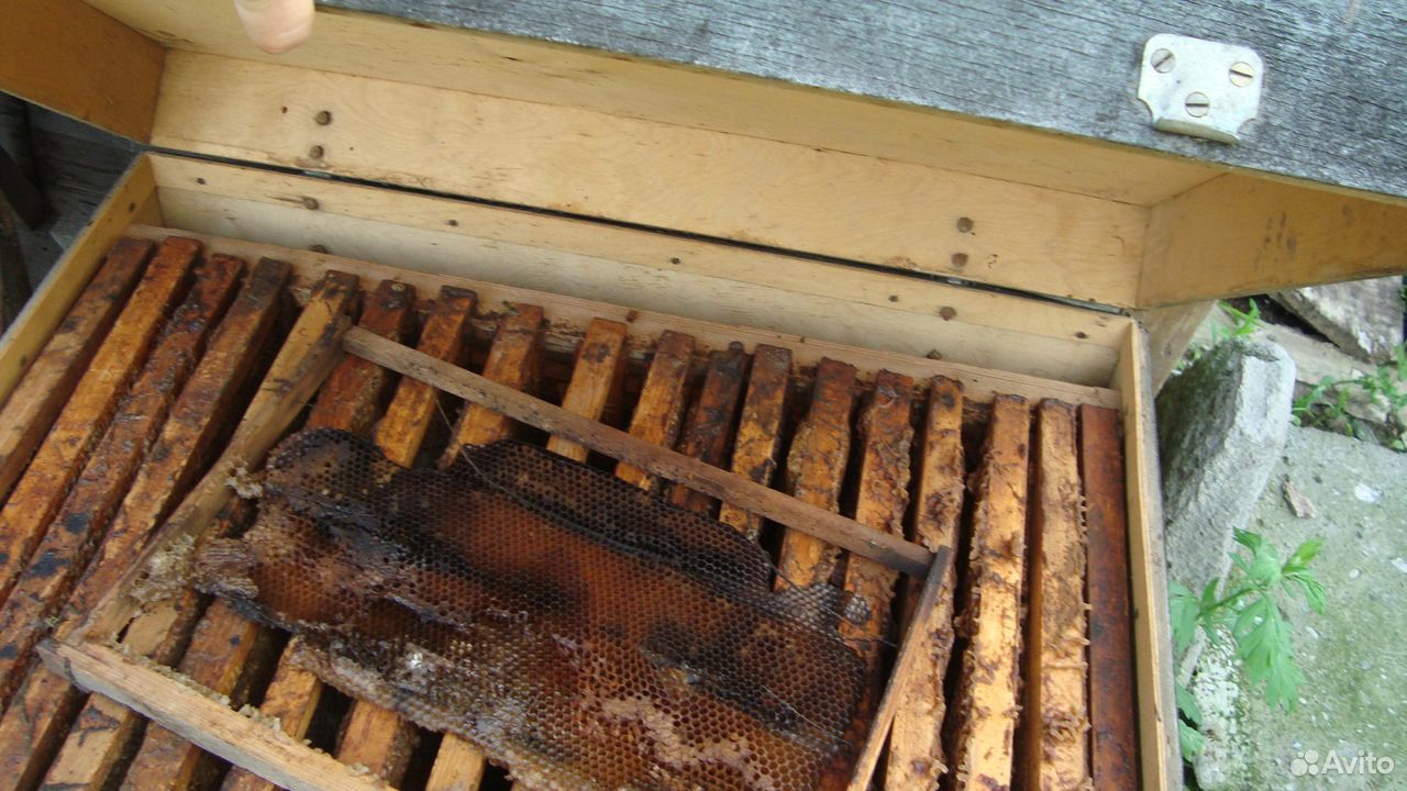 Рамки для пчеловодства купить на Зозу.ру - фотография № 2