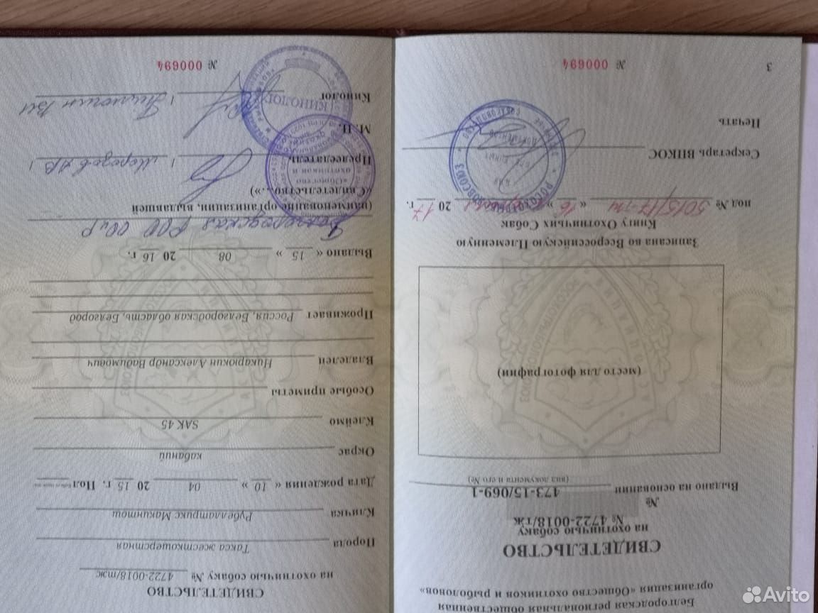 Щенки жесткошерстной таксы с документами купить на Зозу.ру - фотография № 6