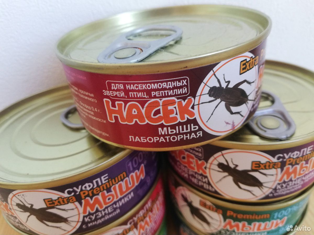 Консервы с кормовыми насекомыми купить на Зозу.ру - фотография № 5