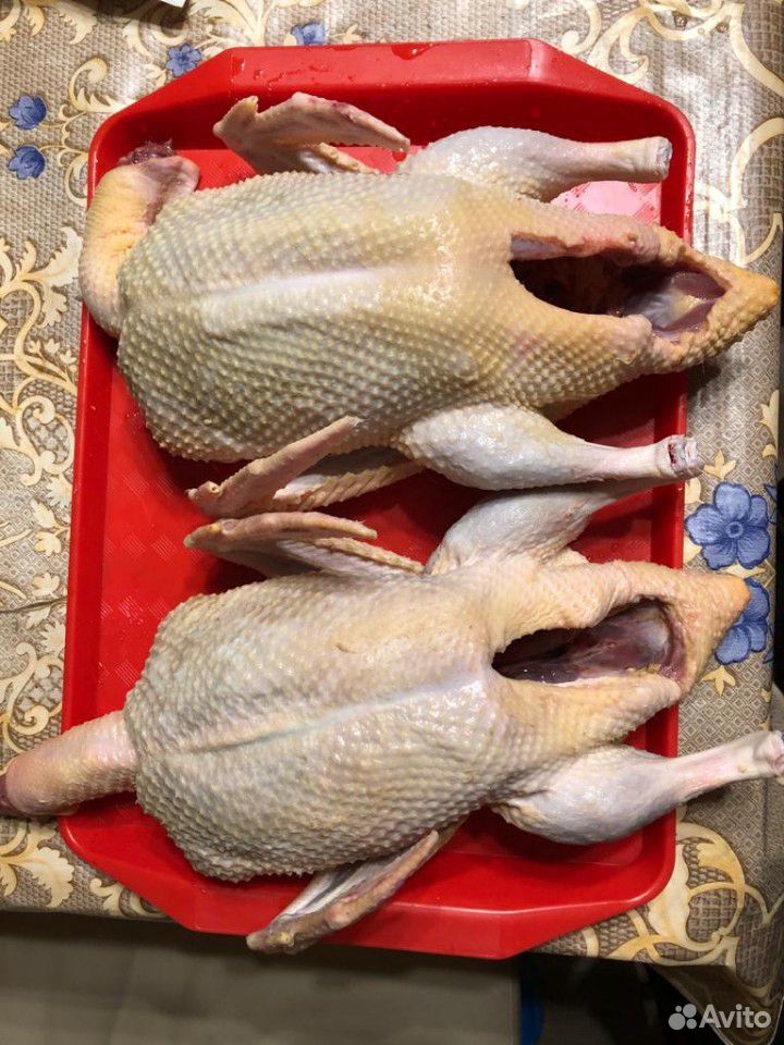 Мясо домашней утки купить на Зозу.ру - фотография № 1