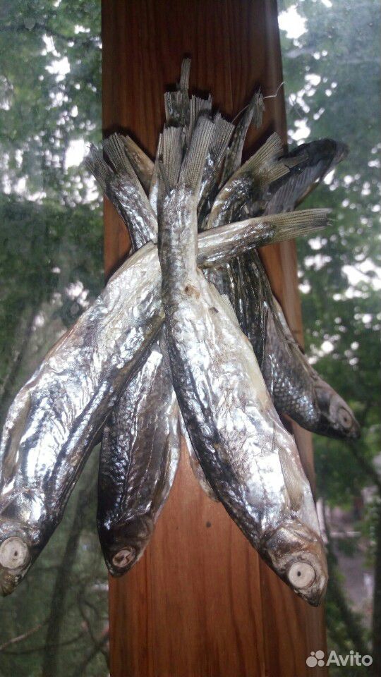 Вяленая рыбка Плотва,салака,окунь купить на Зозу.ру - фотография № 4