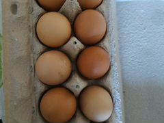 Домашние куриные яйца