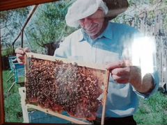 Семьи с пчелами