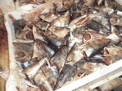 Отходы рыбные с рыбного производства