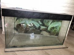 Нестандартный аквариум на 240 литров