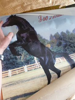 Календари с лошадьми за 80-90гг