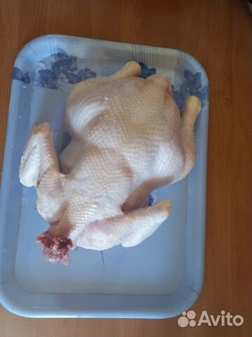 Мясо домашних кур бройлеров