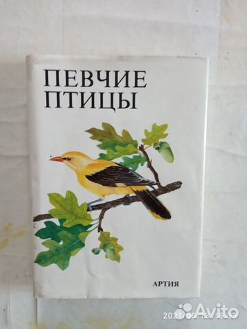 Певчие птицы; Птицы над сушей и морем