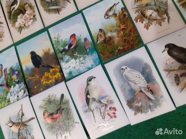 Художественные открытки: ягоды, птицы, рецепты, пе