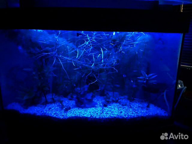 Аквариум фирмы 
