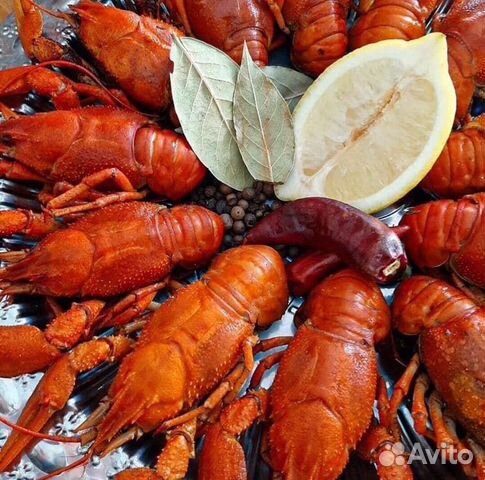 Раки живые, вареные и жаренные с доставкой