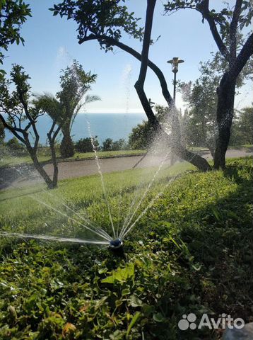 Газон рулонный. Автоматичский полив Туапсе