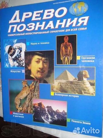 Древо познания Древо познания