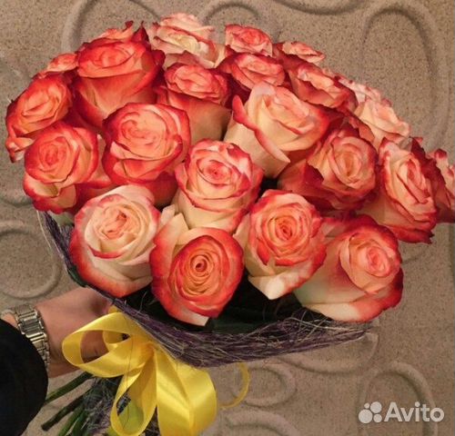Розы Премиум/Эквадор/Цветы/Доставка/Букет Арт00036