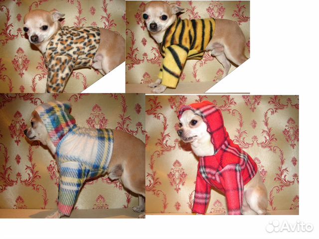 Для маленьких собачек: сумки, лежанки, одежда, обу купить на Зозу.ру - фотография № 7