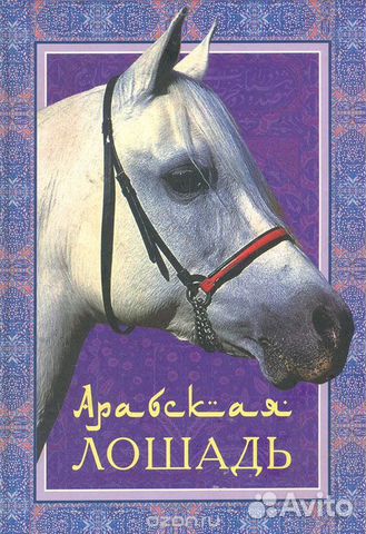 Книги про лошадей Книги про лошадей