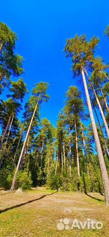 

2-к. дом, 60 м²