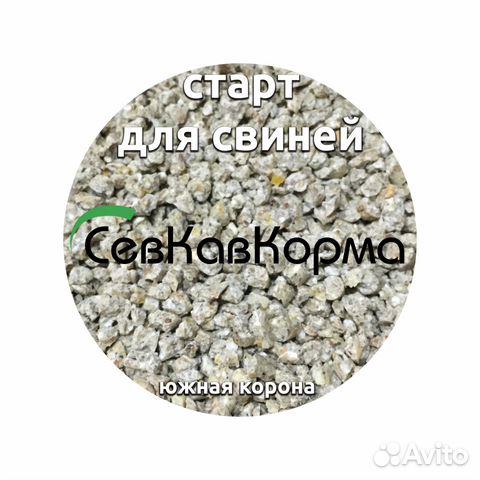 Старт для поросят