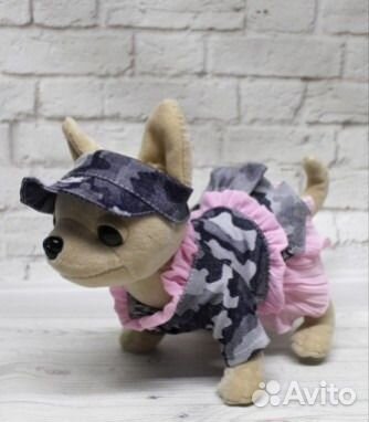 Одежда для собачек Чи Чи Лав Одежда для собачек Чи Чи Лав