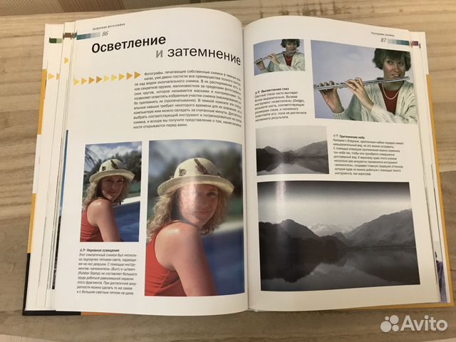 Книга Цифровая фотография Стив Бэвистер