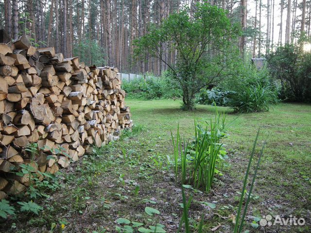 Дача 52 м² на участке 13 сот.