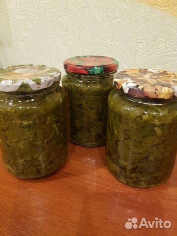 Щавель Щавель