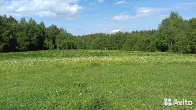 Отдых в Карелии