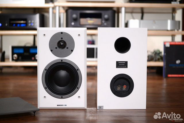 dynaudio m20
