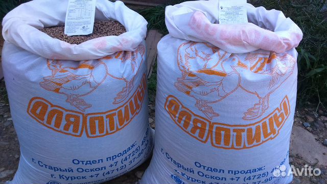 Комбикорма зерно сосуцтвующие товары купить на Зозу.ру - фотография № 5