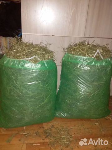 Сено-зеленое,свежее для декоративного кролика купить на Зозу.ру - фотография № 4
