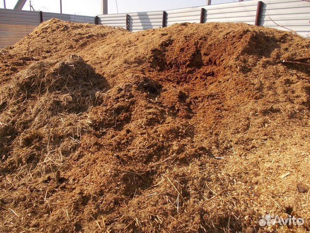 Конячий навоз