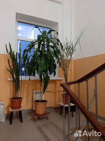 2-к квартира, 65 м², 3/5 эт. 2-к квартира, 65 м², 3/5 эт.